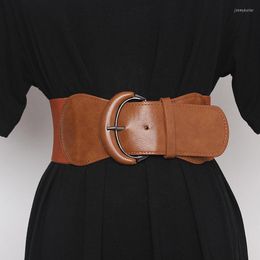 Belts Fashion Design Female Belt Ladies Casual Luxury Buckle Knitted Elastic Wide Cummerbunds Free Size Width 8cmBelts