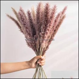 Decorative Flowers Wreaths 10Pcs Brush Natural Dried Reed Bouqet Arrangement In Vase Pampas Grass For Decoration Diy Wedding Home Drop Del