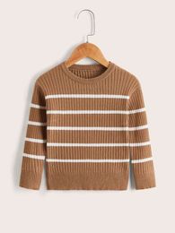 Toddler Boys Striped Rib Knit Sweater SHE