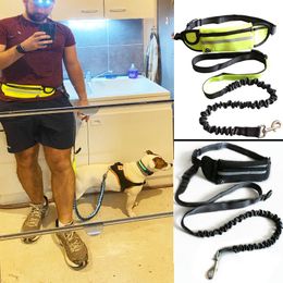 Dog Collars & Leashes Running Leash Belt For A Run With Reflective Traction Nylon Rope Elastic Put Phone Waist