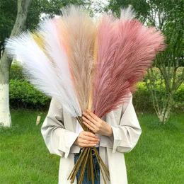 5Pcs 10070cm Artificial Pampas Grass Bouquet Year Holiday Wedding Party Home Decoration Plant Simulation Dried Flower Reed 220527