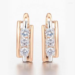 Trend White Stone Clear Cubic Zircon Earrings For Women Girls 585 Rose Gold Colour Mixed Dangle Earring GE316 & Chandelier