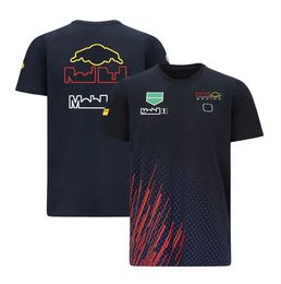 F1 Team Uniform Official Driver T-Shirt Men's Short Sleeve Racing Suit Lapel T-Shirt POLO Shirt Can Be Customized2998