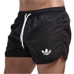 Summer Shorts Men 2022 Casual Shorts Trunks Fitness Workout Beach Shorts Man Breathable Gym Short Trousers Sweatpants