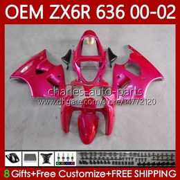 OEM Body For KAWASAKI NINJA ZX-6R ZX 6R 600 CC 6 R ZX-636 ZX-600 00-02 Bodywork 133No.158 ZX 636 600CC ZX636 2000 2001 2002 ZX600 ZX6R Glossy pink 00 01 02 Injection Fairing