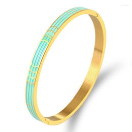 Bangle Black Blue Resin Geometric Bracelets Bangles For Women Men Enamel Stainless Steel Gold CustomizationBangle Kent22