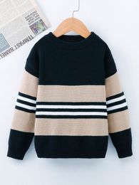 Toddler Boys Striped Pattern Colorblock Drop Shoulder Sweater SHE01