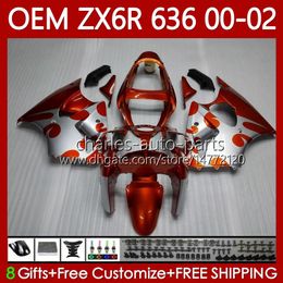 Injection Body For KAWASAKI NINJA ZX 6R 600 CC 6 R ZX636 ZX-600 00-02 Bodywork 133No.23 ZX 636 600CC ZX-636 ZX-6R 2000 2001 2002 ZX600 ZX6R 00 01 02 OEM Fairings orange silvery