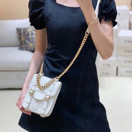 10A Mirror Quality 17CM Vintage Cross Body Bag Designer Women Chains Cellphone Pouch Luxuries Designers Shoulder Bags with Box C022