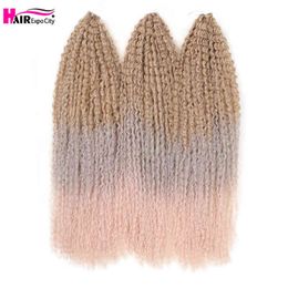Afro Kinky Curly Crochet Braids Hair 20-28 Inch Marly For Women Ombre Braiding Extensions Brown 613 Expo City 220610