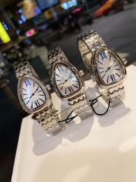 Classic Designer Snake Watches Ladies Serpent Decoration Stainless Steel Sier Triangle Case Waterproof Watch Gift 2022