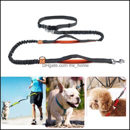 Reflect Light Flex Dog Leashes Running Waist Belt Mtifunction Walk A Collar Chain Pet Supplies Harness Drop Ship Delivery 2021 Collars Hom