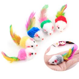 Colourful Cat Toy Lovely Mouse For Cats Dogs Funny Fun Playing Contain Catnip Toys Pet Supplies