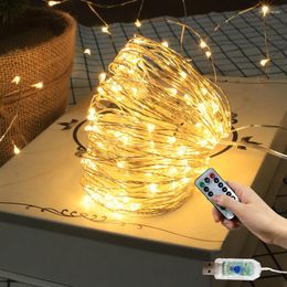 Strings LED Remote Control USB String Lights Fairy Street Garland For Christmas Light Outdoor Garden Lamp Wedding DIY DecorationLED