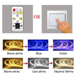 Strips Colour Changing LED Strip Lights Remote Dimmer SMD 5730 Neon Rope Lamps 220V IP65 For Indoor Outdoor Decoration Tape LightingLED
