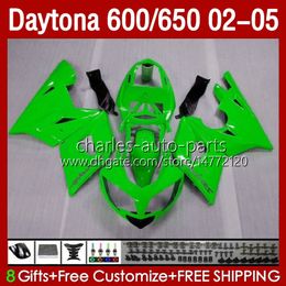 OEM Bodywork For Daytona 650 600 CC 600CC 650CC 02 03 04 05 Bodys 132No.22 Daytona650 Daytona-600 2002-2005 Daytona600 2002 2003 2004 2005 Fairings Kit glossy green blk