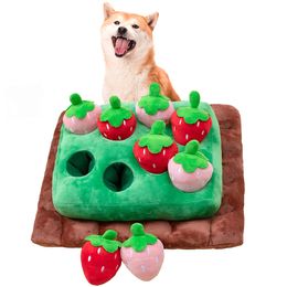 plush toys for small dogs UK - Dog Plush Toy Harvest Carrots with Squeaky Rabbit Nose Training Hide Chew Puzzle Interactive Toys for Small Medium Dogs 220427