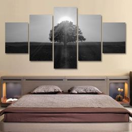 Modular Canvas HD Prints Posters Home Decor Wall Art Pictures 5 Pieces Black and white early morning treePaintings No Frame