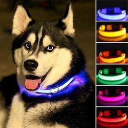 Nylon LED Pet dog CollarNight Safety Flashing Glow In The Dark Dog LeashDogs Luminous Fluorescent Collars Pet Supplies 220610