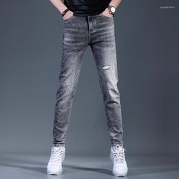 Fashion Men Dark Grey Ripped Jeans Korean Style Casual Slim Fit Pencil Pants 2022 Streetwear Denim Trousers