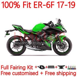 OEM Injection Mould Fairings For KAWASAKI NINJA 650R ER 6F 6 F ER6F 17 18 19 20 Bodywork 18No.48 NINJA650R ER6 F Cowling ER-6F 2017 2018 2019 2020 Body Kit lucky green