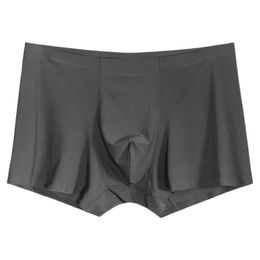 Underpants Seamless Men Boxers Luxury Silk Underwear Boxer Spandex 3D Crotch Nylon Shorts Slips XXXLUnderpants