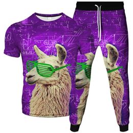 Men's Tracksuits Men's Women Animal Teacher Sheep Printing Casual Tracksuit 2Pcs Sets T-Shirt Trousers Brand Clothing Male Suits Plus Si