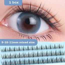 False Eyelashes Professional Makeup Personal Cluster Eyelash Grafting Single Segmented Mixed Size Volume C VolumeFalse Harv22