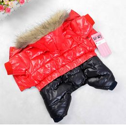 Winter Dog Clothes For Small Dogs Waterproof Dog Jacket Thicken Warm Puppy Pet Down Coat Fur Hooded Jumpsuit Chihuahua Clothing 201102