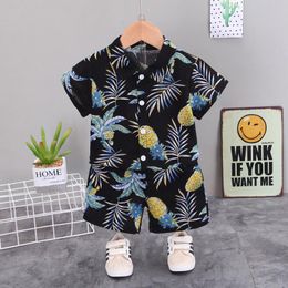 Clothing Sets Summer Boys Beach Clothes Short Sleeve Top Shorts For Kids Pineapple Print T-shirt Vacation 1-5 Years Old Leisure SuitsClothin