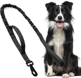 Dog Collars & Leashes Tactical Bungee Leash 2 Handle Quick Release Cat Pet Elastic Leads Rope Military Training LeashesDog