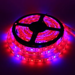 DC 5V USB LED Grow Light Full Spectrum 1m 4.8w 60leds smd2835 Plant Strips Phyto Lamp for Plants Flowers Greenhouse Hydroponic 20m/lots