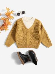 Toddler Boys Colorblock Cable Knit Sweater SHE01