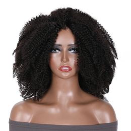 Afro Kinky Wave Spiral Curl Wigs African Curly Wig Afro Hair