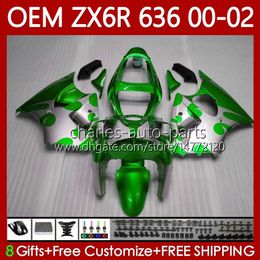 Injection Fairings For KAWASAKI NINJA ZX-6R ZX 6R 600 CC 6 R ZX-636 ZX636 2000 2001 2002 Body 133No.127 ZX 636 Green white 600CC ZX600 ZX-600 00-02 ZX6R 00 01 02 OEM Bodywork