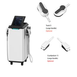 slimming machine 2 in 1 EMSLIM+cryolipolysis Muscle Ems Sculpting Muscle Trainer HI-EMT Buttock Lifting fat freeze body sculpt weight loss beauty salon equipment