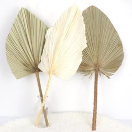 Decorative Flowers & Wreaths Dried Palm Leaves Natural Fan Leaf Fronds Stems Of Pampas Grass For Home Decor Boho DecorDecorative