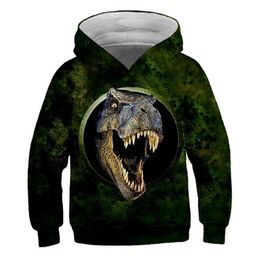 Boys Cool Dinosaur Patterning 3D Hoodies Autumn Teen Kids Animal Hoodie Infantil Toddler Boy Girls Costumes Sweatshirt Clothing LJ201128