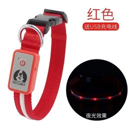 Medium Small Led Glow Fashion Pet Dog Collar Chain Red Waterproof Personalised Puppy s Pets Accessories LJ201112