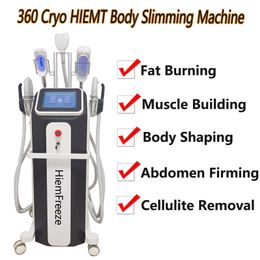 Vertical Cryolipolysis Machine Fat Dissolve Weight Loss HIEMT Emslim Muscle Training Body Slimming Machine
