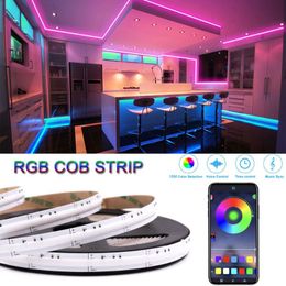 Strips LED FOB Strip 12V 24V 630 LEDs High Indensity House Decoration Mobile App Controlled Colourful Flexible COB Light Bar TapeLED