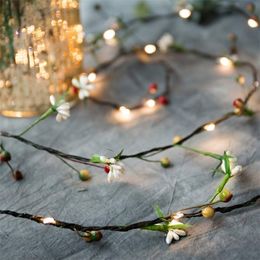 2M 20leds AA Battery String Lights Fruit Copper Wire LED Lights Christmas Decoration Lights For Birthday Party Garland Wedding 201203