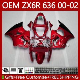 Injection Fairings For KAWASAKI NINJA ZX-6R ZX 6R Red flames 600 CC 6 R ZX-636 ZX636 2000 2001 2002 Body 133No.118 ZX 636 600CC ZX600 ZX-600 00-02 ZX6R 00 01 02 OEM Bodywork