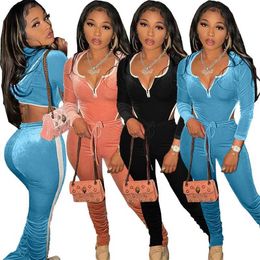 Autumn New Women Two Piece Sets Velvet Tracksuit Fashion Designer Trackisuit In 3 Colors Jacket And Pleated Pants Women Clothes
