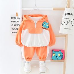 HYLKIDHUOSE Spring Baby Girls Clothing Sets Cute Cat Hooded T Shirt Pants Toddler Infant Clothes Children Casual Clothing LJ201223