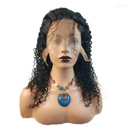 virgin half wigs Canada - Lace Wigs Peruvian Curly Deep Wave Frontal Human Hair 613 Wig 13x4x1Wig Brazilian Tobi22
