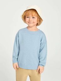 Toddler Boys Drop Shoulder Solid Sweater SHE