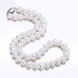 Chains 9-10mm Natural Freshwater Pearl Necklace For Women 925 Sterling Silver Choker Necklaces Jewellery GiftChains Godl22