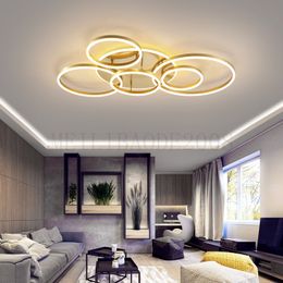 2/3/5/6 Circle Rings Modern LED Ceiling Lights Nordic Restaurant Bar Ofiice Living Room Bedroom Study Room Lighting White/Brown Colour Lamps Home Decor