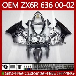 Injection Body For KAWASAKI NINJA ZX 6R 600 CC 6 R ZX636 ZX-600 00-02 Bodywork 133No.67 ZX 636 600CC ZX-636 ZX-6R 2000 2001 2002 ZX600 ZX6R 00 01 02 OEM Fairings silvery flames